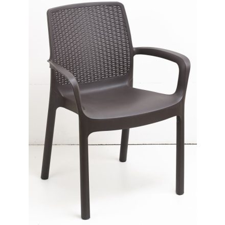 Regina műanyag karfás szék